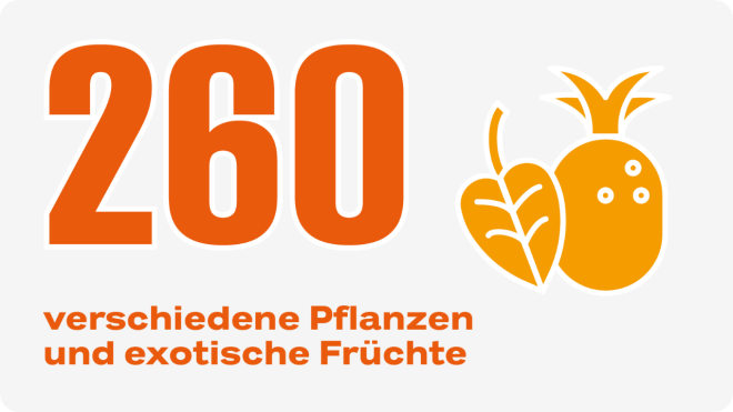 Icon 260 verschiedene Pflanzen und exotische Früchte 