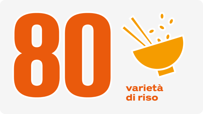 80 varieta di riso